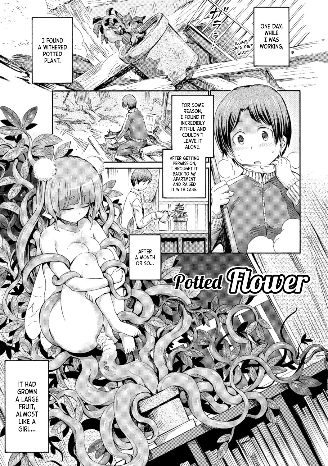 [Horitomo] Hachi no Ue no Flower | Potted Flower (Kentauros wa Hitori Ja Dekinai) [English] [Team Koinaka] [Digital] image number 1