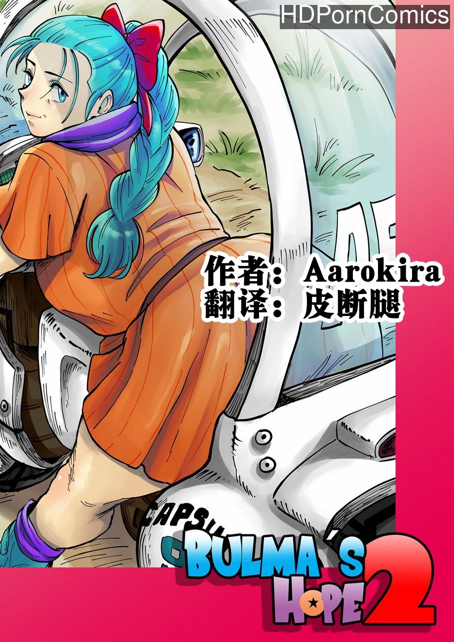[Aarokira] Bulma's Hope EP2【皮断腿个人汉化】 图片编号 1