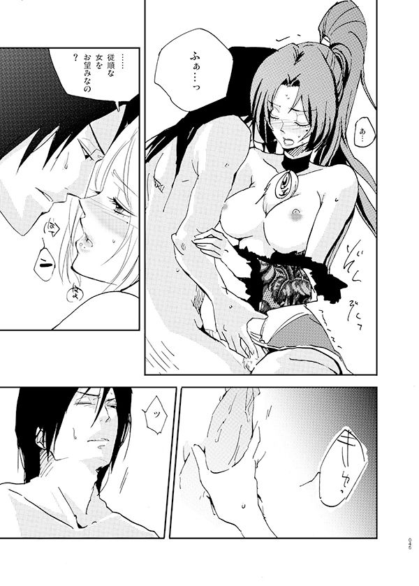 [doc. (Mayama Haruji)] 不知宵 (Dynasty Warriors) [Digital] image number 12