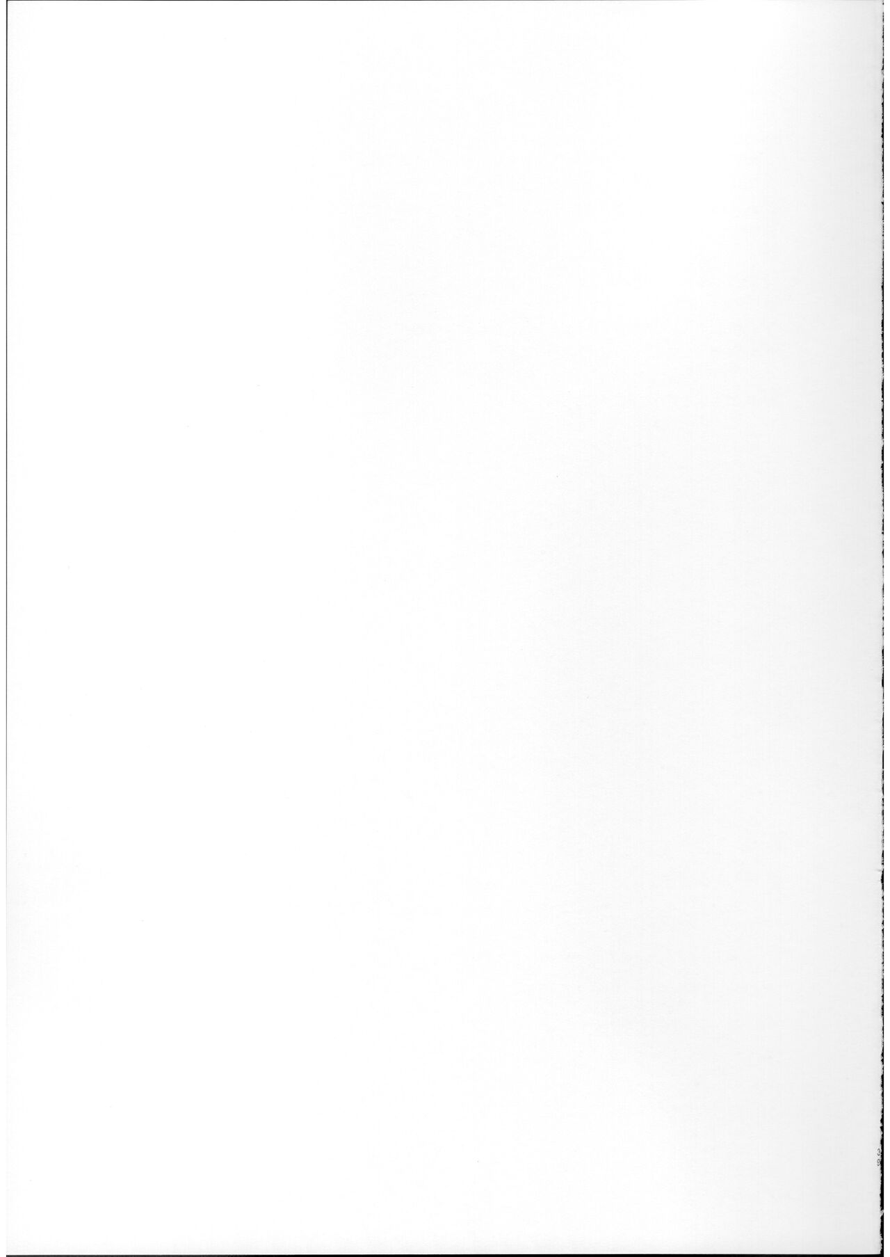 (C102) [Trampoline Pudding (Mappa Ninatta)] Ryousai-chan Ge [Chinese] изображение № 38