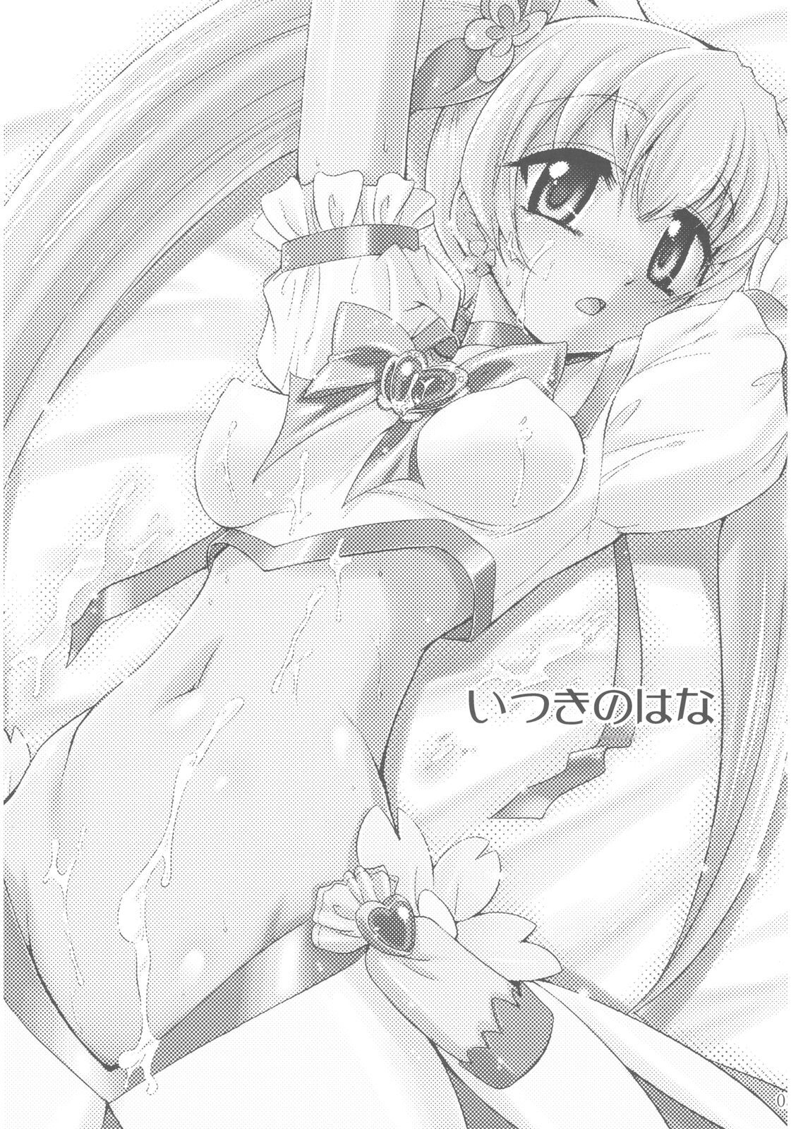 (C78) [YOKOSHIMAYA. (Yokoshima Takemaru)] Itsuki no Hana (HeartCatch Precure!) [Chinese] [个人团子翻译] 3eme image