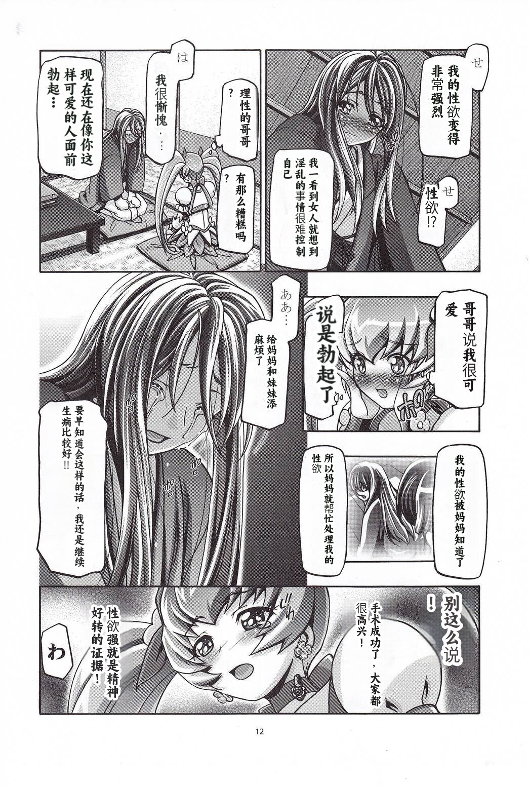 (C79) [Gambler Club (Kousaka Jun)] Myodouinge no Katei no Jijou (Heartcatch Precure!) [Chinese] [个人团子翻译] numero di immagine  11