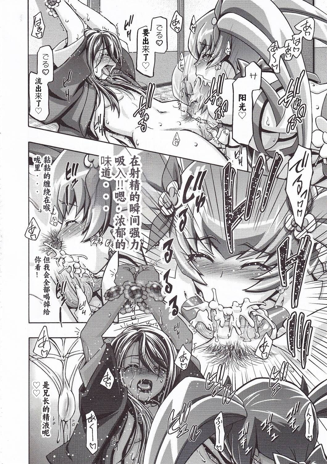 (C79) [Gambler Club (Kousaka Jun)] Myodouinge no Katei no Jijou (Heartcatch Precure!) [Chinese] [个人团子翻译] numero di immagine  15
