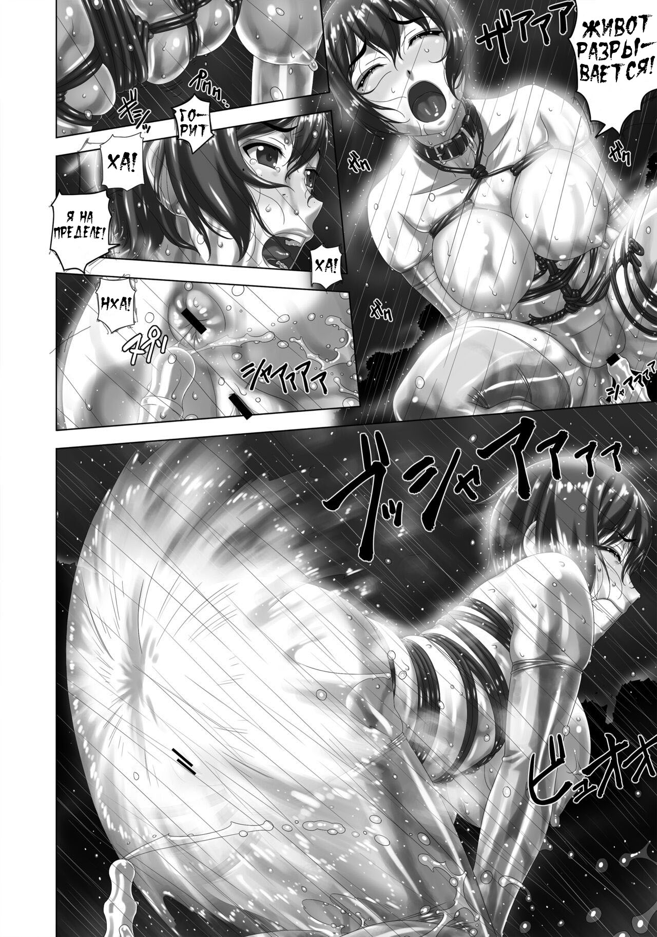 [Tairikukan Dandoudan Dan (Sakura Romako)] Arashi o Yobu Onna [Russian] [Digital] 画像番号 14