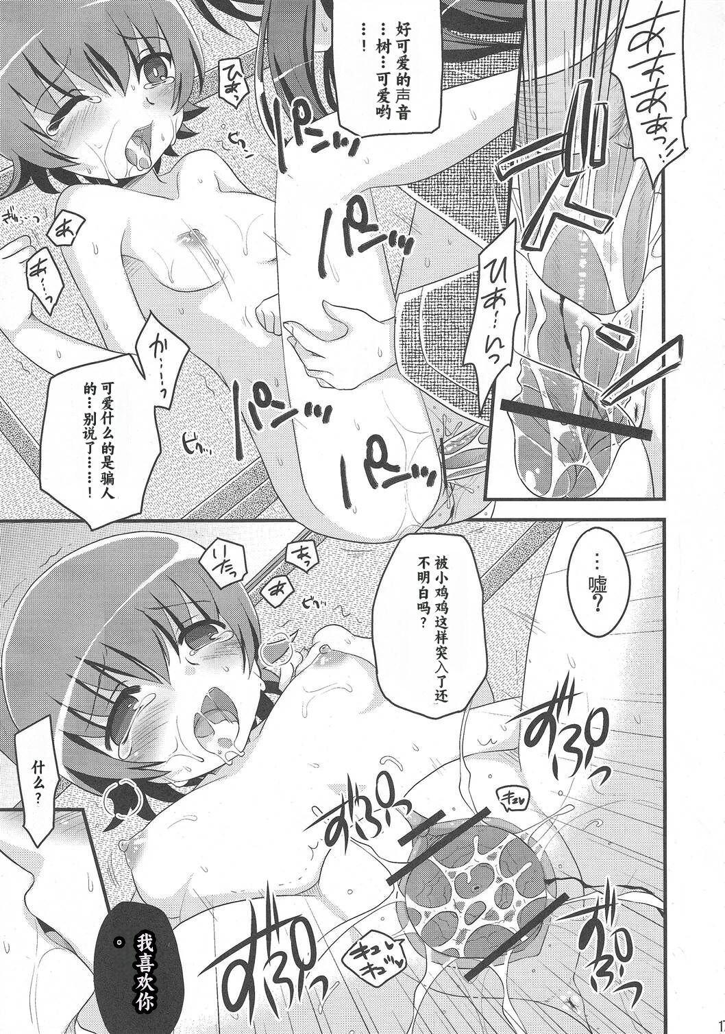 (C79) [Tounantou (Arata Mai)] Kimi no Kozue, Boku no Kage (Heartcatch Precure!) [Chinese] [个人团子翻译] 이미지 번호 16