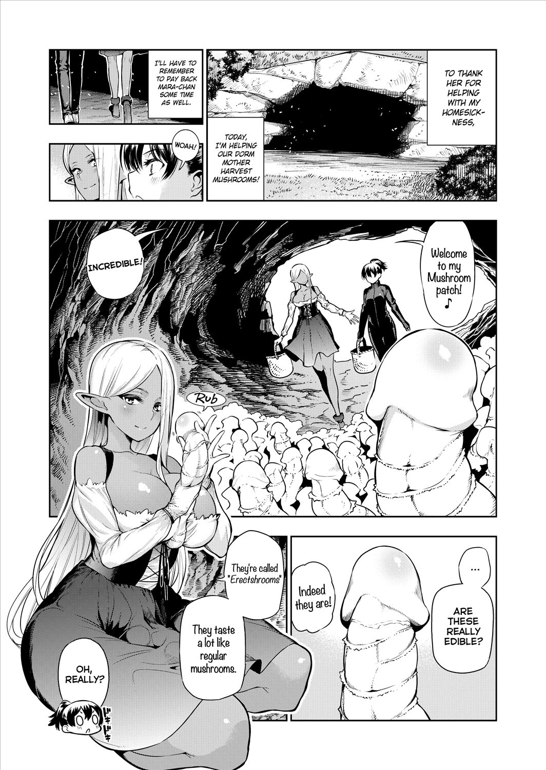 [Kawakami Masaki] Futanari no Elf Descensored (ongoing) 画像番号 37