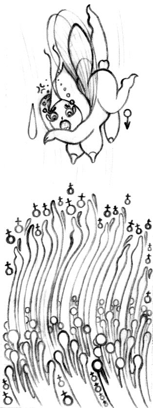 Froggy love 画像番号 27