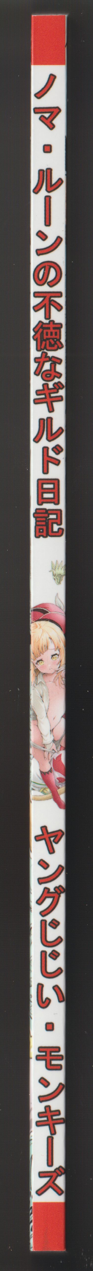 [Monkees (YoungJiJii)] Immoral Guild 이미지 번호 2