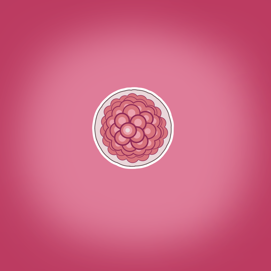 [Straw] Yumi's Study Abroad Bildnummer 39