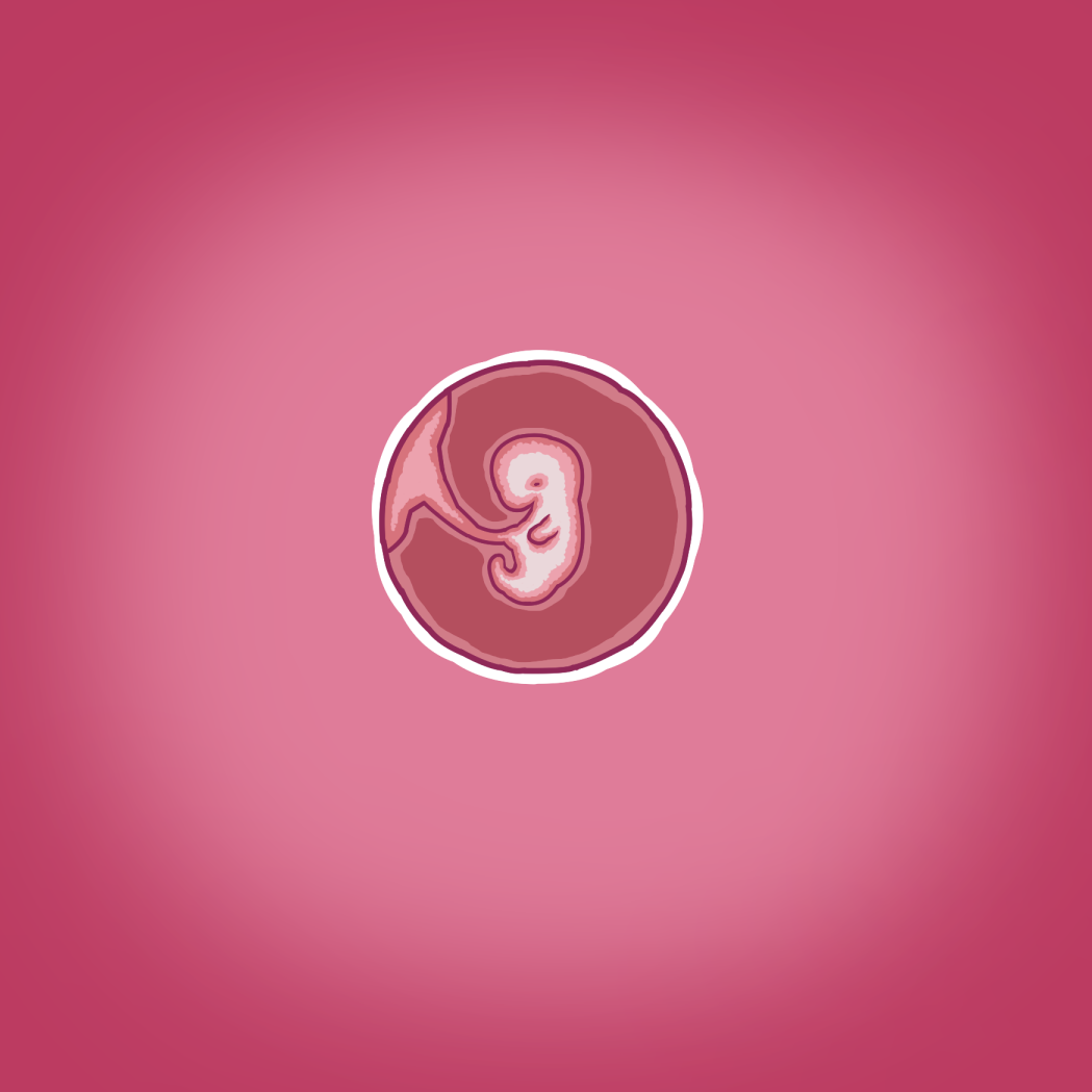 [Straw] Yumi's Study Abroad Bildnummer 57