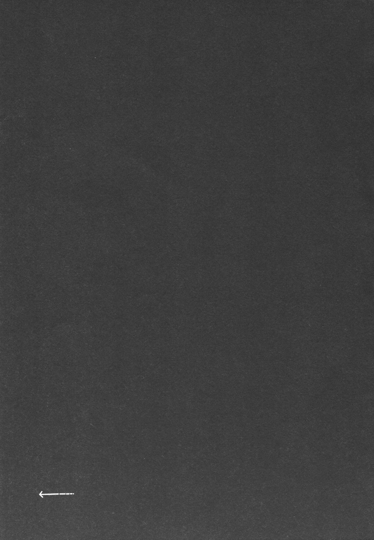 (Shinshun Kemoket 3) [miyubi (Kiichi)] Mimi kara Kanjite | 귀로 느껴줘 [Korean] [나나치 저장소] image number 21