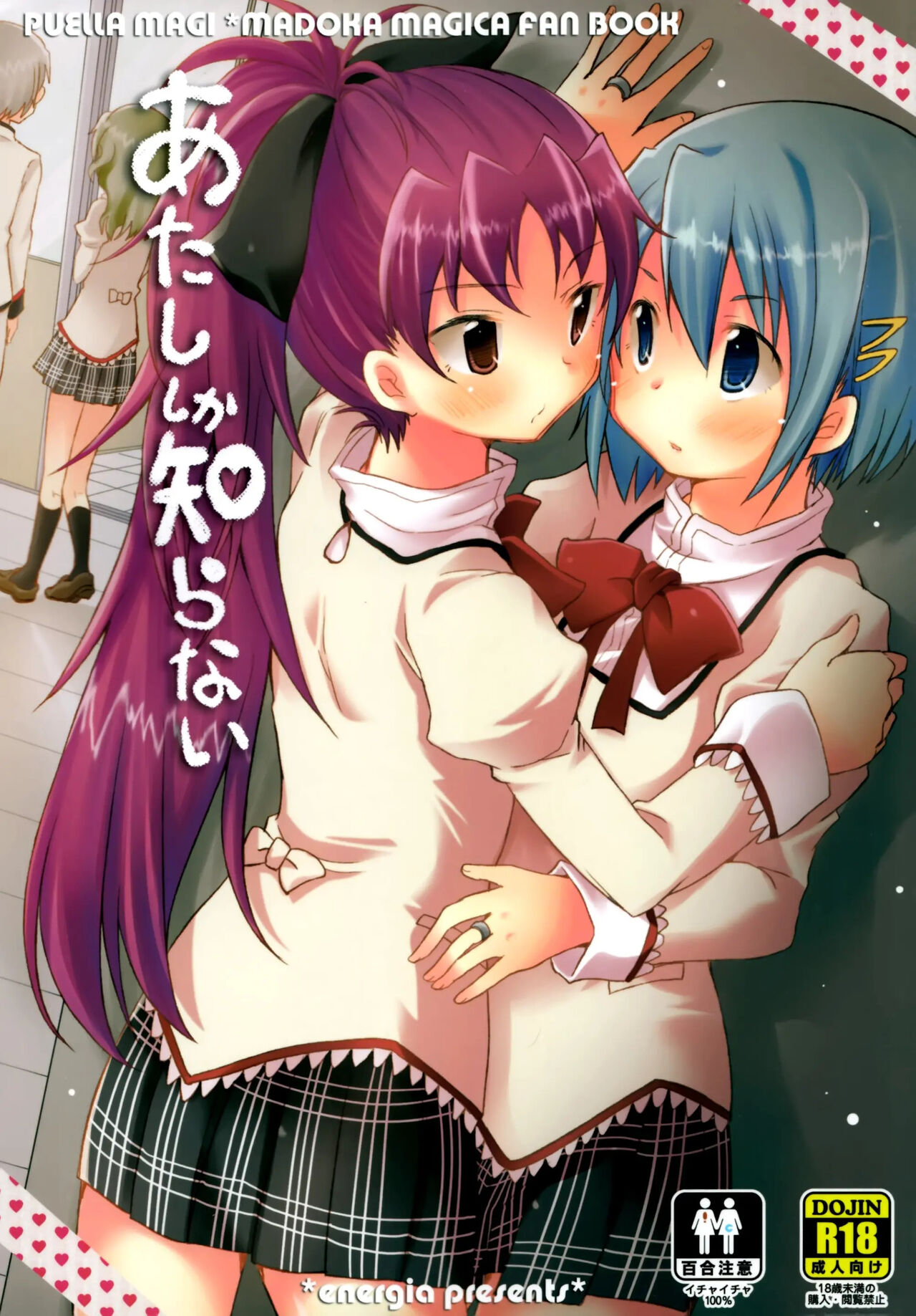 (C86) [Energia (Pikachi)] Atashi shika Shiranai | 나만이 아는 (Puella Magi Madoka Magica) [Korean] [naaari7] image number 1