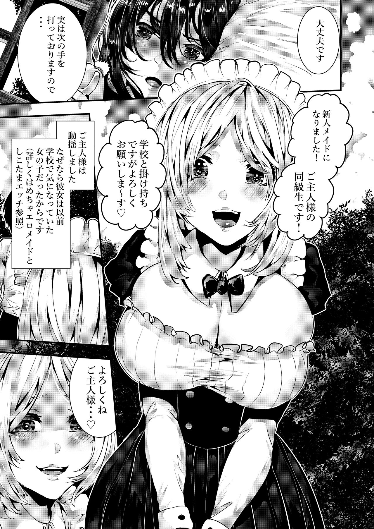 [Karazishibotan (Bota Mochito)] Deredere Maid to Tsundere Maid to Inran Maid to Shikotama Ecchi Bildnummer 10