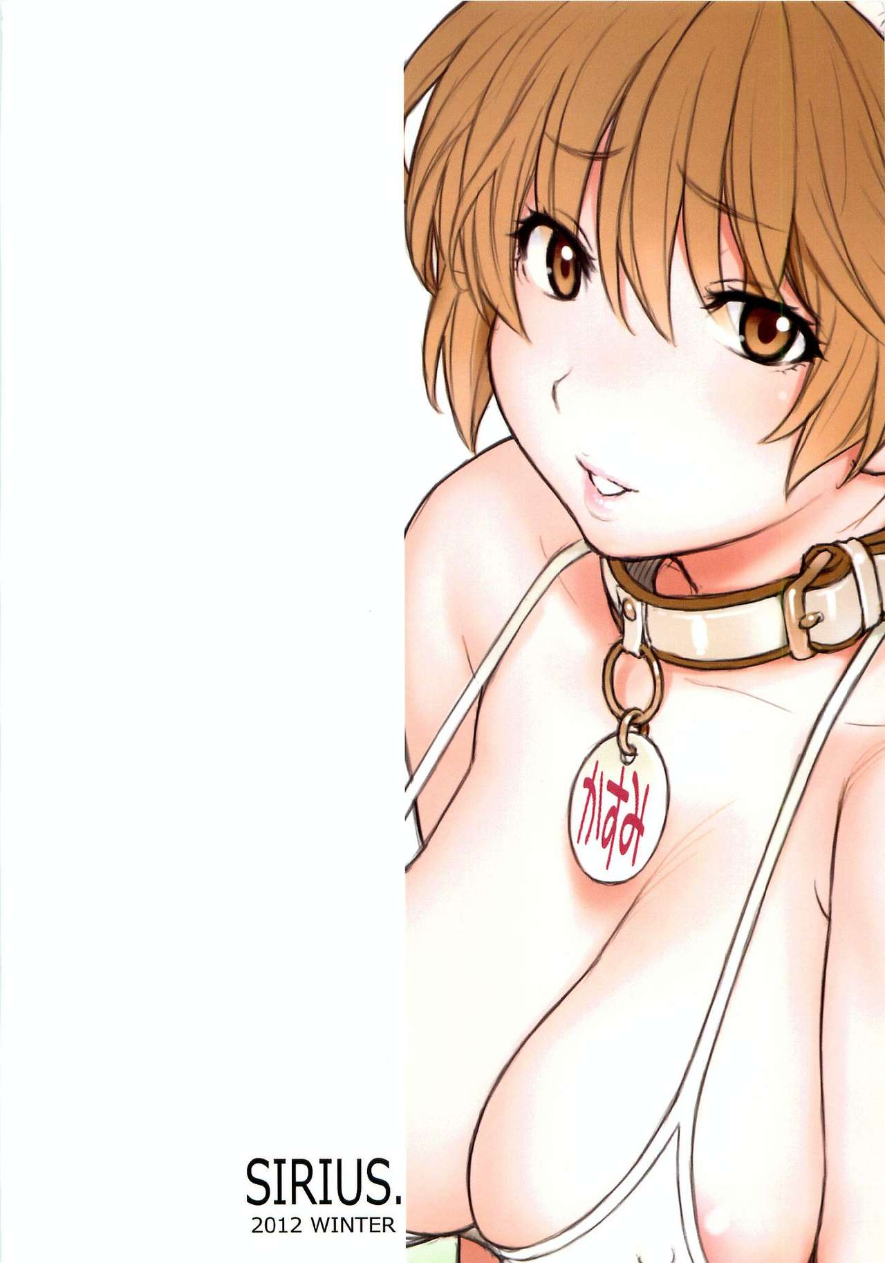 (C83) [SIRIUS. (Kiriyama Taichi)] Kasumi-chan to Nobetumakunashi 4 (Dead or Alive) [English] [ultimaflaral] 2eme image