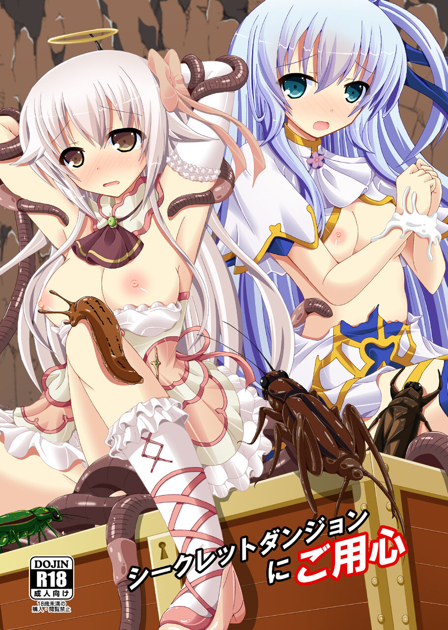 [Dream Project (Yumeno Shiya)] Secret Dungeon ni Goyoujin (Flower Knight Girl) [Digital] 图片编号 1