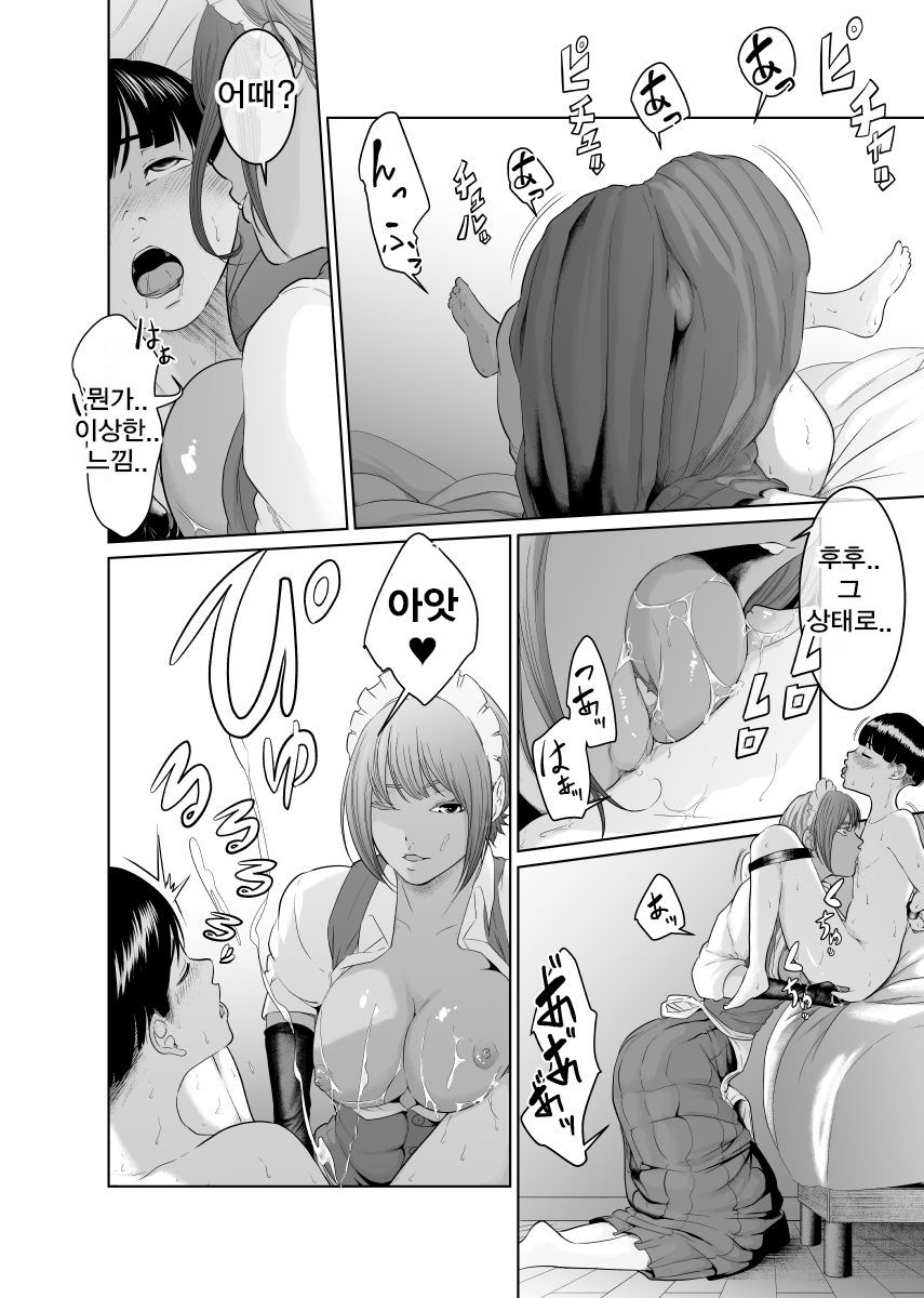 [Monochroid] Kaitou X to Shisanka no Musuko [korean] изображение № 34