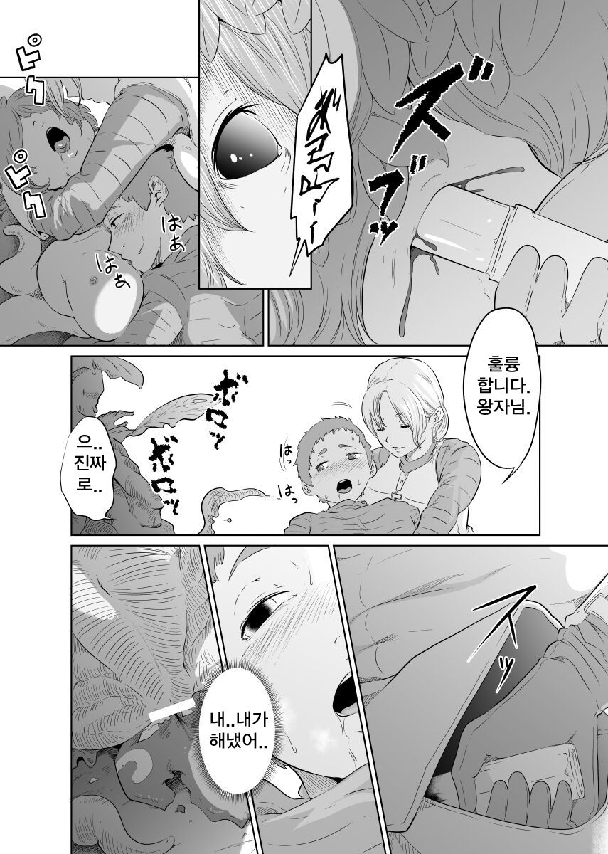 [Monochroid] Onna Kishi no Hakarigoto [korean] numero di immagine  18