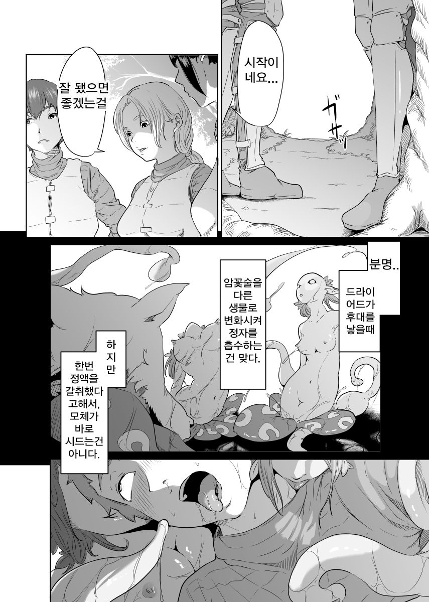 [Monochroid] Onna Kishi no Hakarigoto [korean] numero di immagine  26