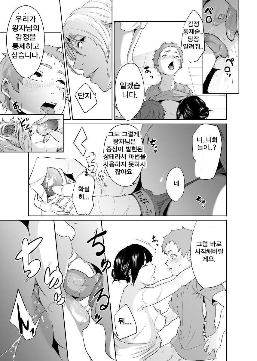 [Monochroid] Onna Kishi no Hakarigoto [korean] numero di immagine  39