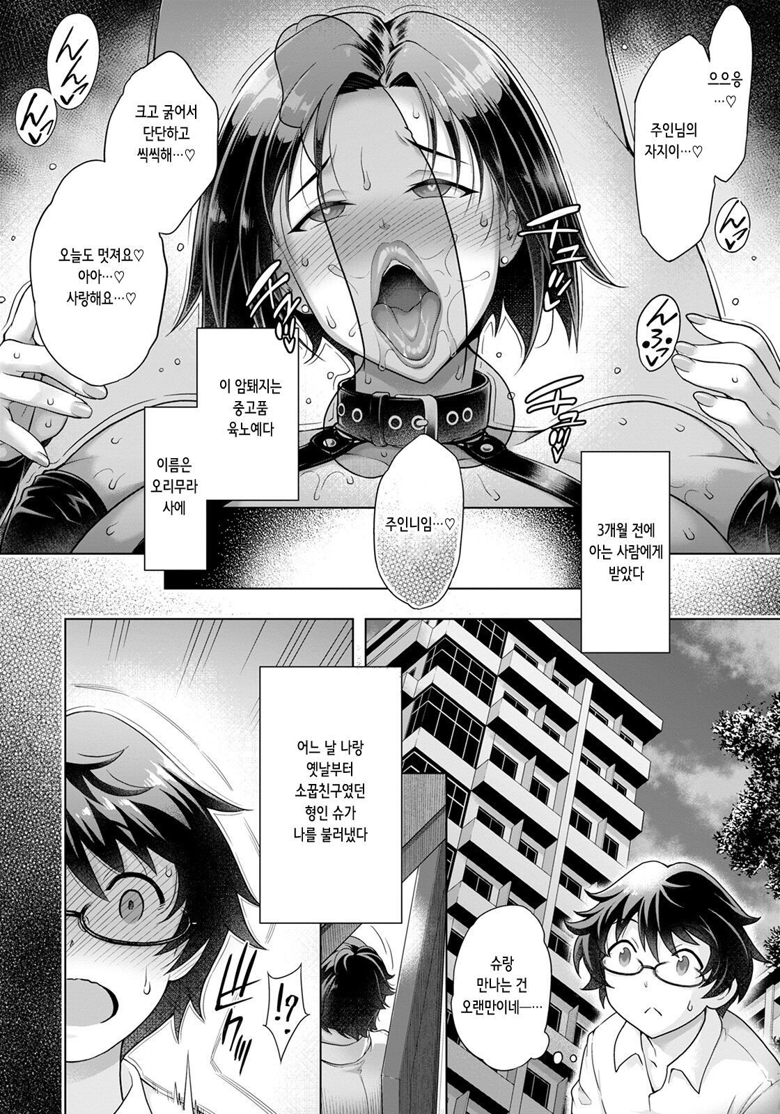 [Aoyama Akira] Sekaiichi Shiawase na Nikubenki | The World's Happiest Meat Toilet (ANGEL Club 2022-08) [Digital] [korean] image number 2