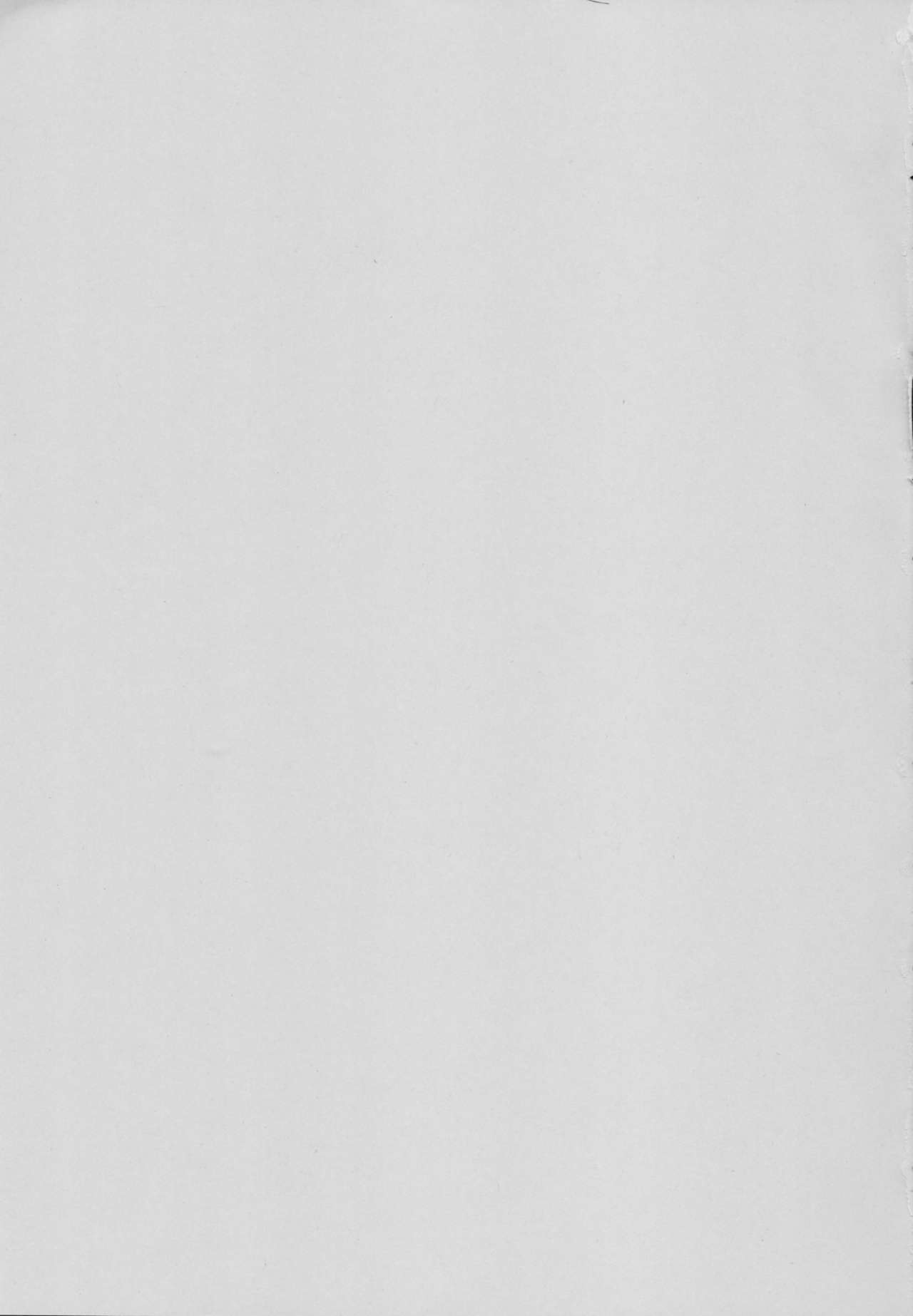 (C88) [Z-TABUKURONEKO HOUSE (Gyonikun)] Despite being inside of the dungeon, the Goddess and Supporter still got creampied (Dungeon ni Deai o Motomeru no wa Machigatteiru Darou ka) [English] [EHCOVE] numero di immagine  3