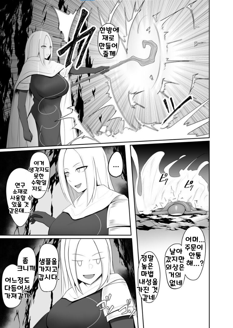 [PitaPita (Pita)] Shokushu Kisei Nasu Sube Naku Kuppuku saserareru Onna Majutsushi | 촉수 기생 어쩔 수 없이 굴복당하는 여자 마술사 [Korean] numero di immagine  4