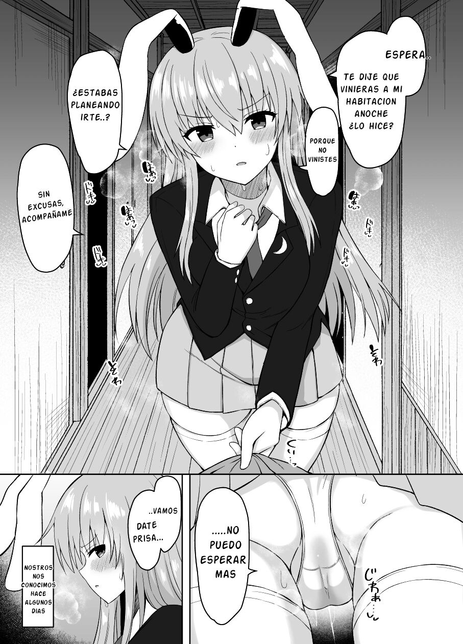 [tomikadou (tksand)] Hatsujou Usagi wa Makerarenai｜Una coneja caliente no puede ser derotada (Touhou Project) [Spanish] [PolyGarde-K] [Digital] Bildnummer 2