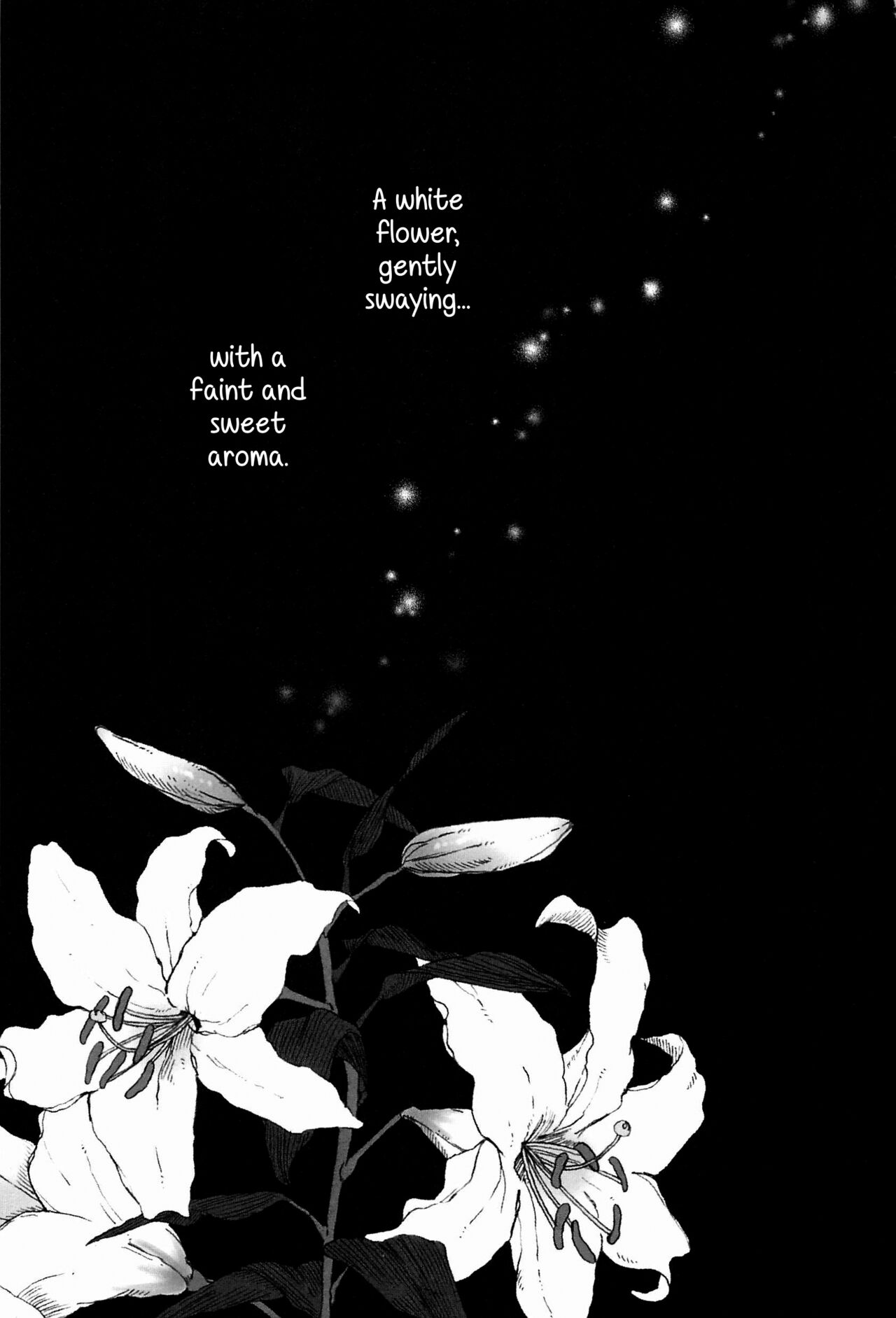 (Bokura no Love Live! 15) [Zarame-ya (Zawawa, Me)] My dear QUEEN (Love Live!) [English] [SDTLs] imagen número 3