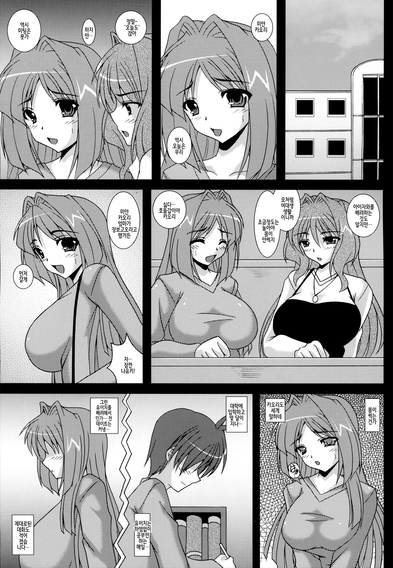 (C83) [Kirei na Oneesan (Izumi Yayoi)] Aikagi - Ubawareta Osananajimi (Kanon) [Korean] 画像番号 4