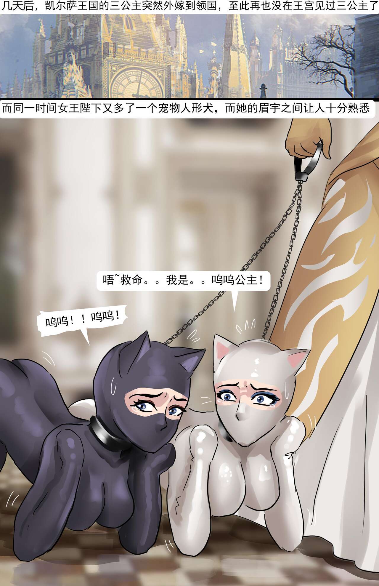 [King] 欧美古典的拘束礼仪 numero di immagine  17