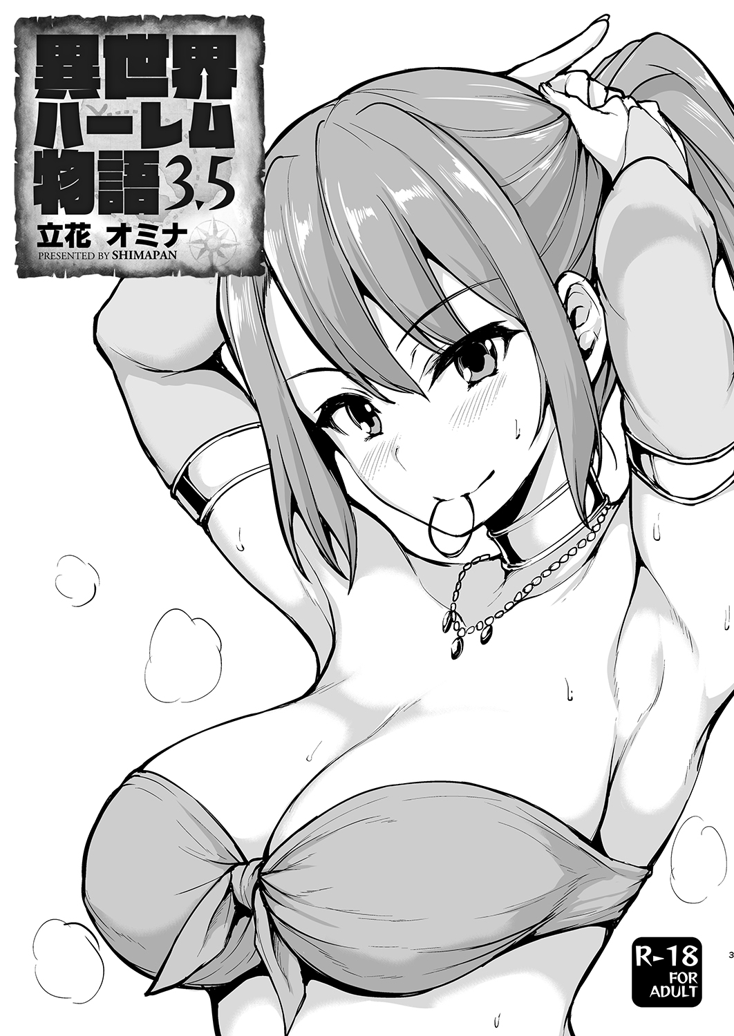 [Shimapan (Tachibana Omina)] Isekai Harem Monogatari - Tales of Harem 3-3.5 [Chinese] [鬼畜王汉化组] [Digital] Bildnummer 55