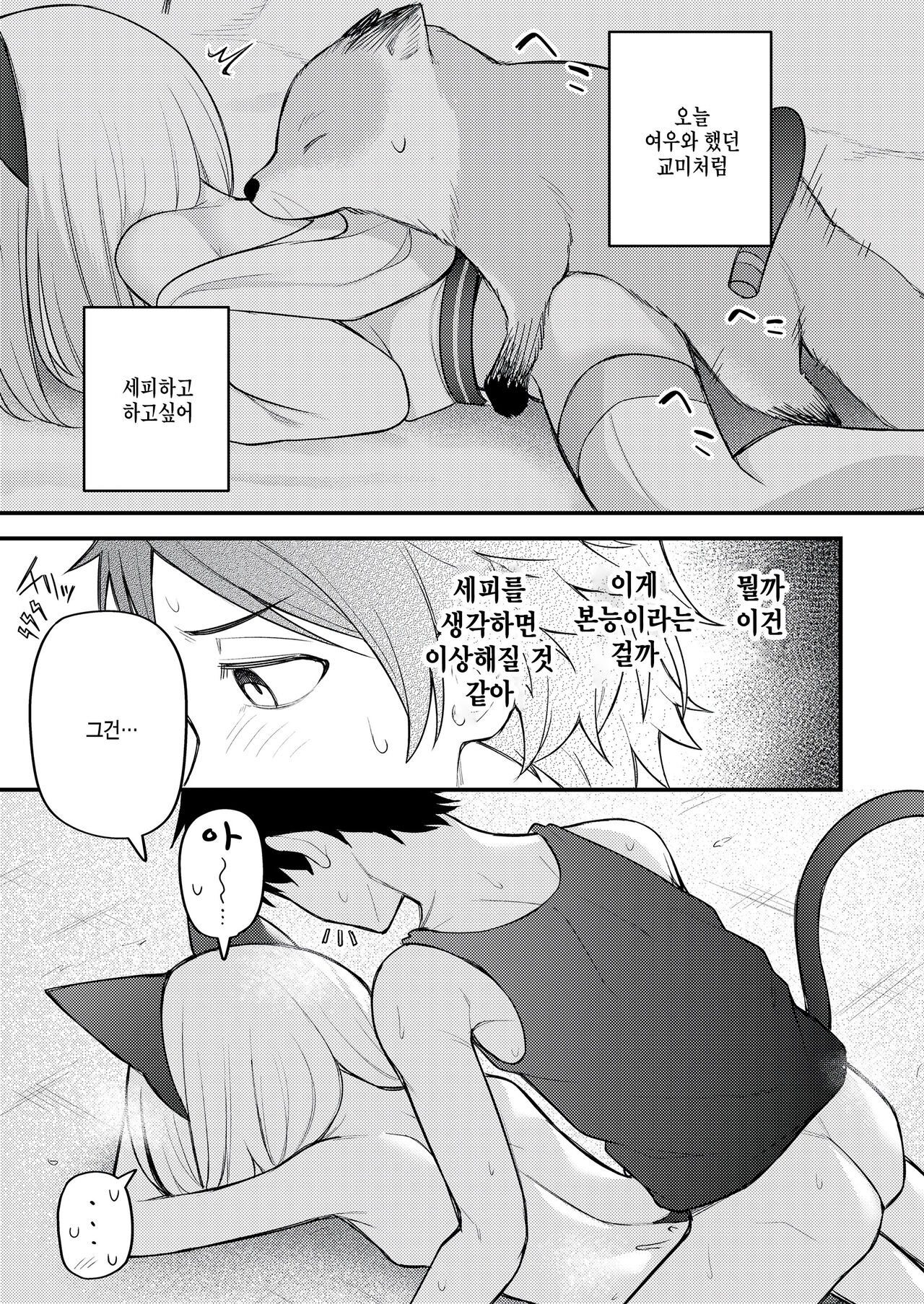 [Binsen] Sei wo ayumu monotachi (Towako 15) [Korean] numero di immagine  15