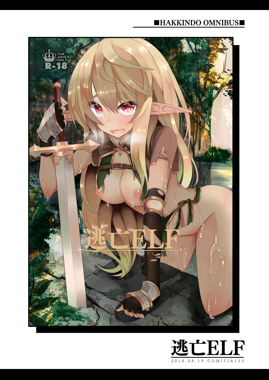 [Hakkindo (Suisui)] Toubou ELF Soushuuhen [Digital] numero di immagine  13