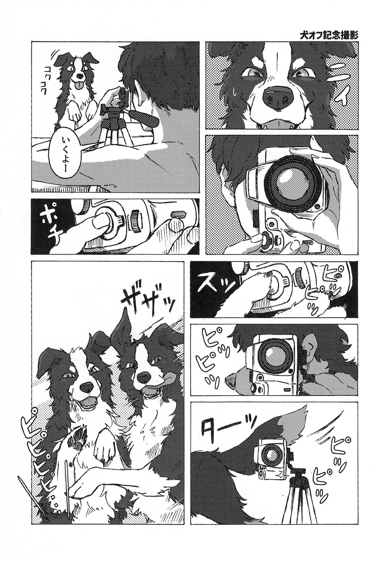 [Kemoket 14] Stray Dogs [gibier] [Multiple Artists] Bildnummer 48