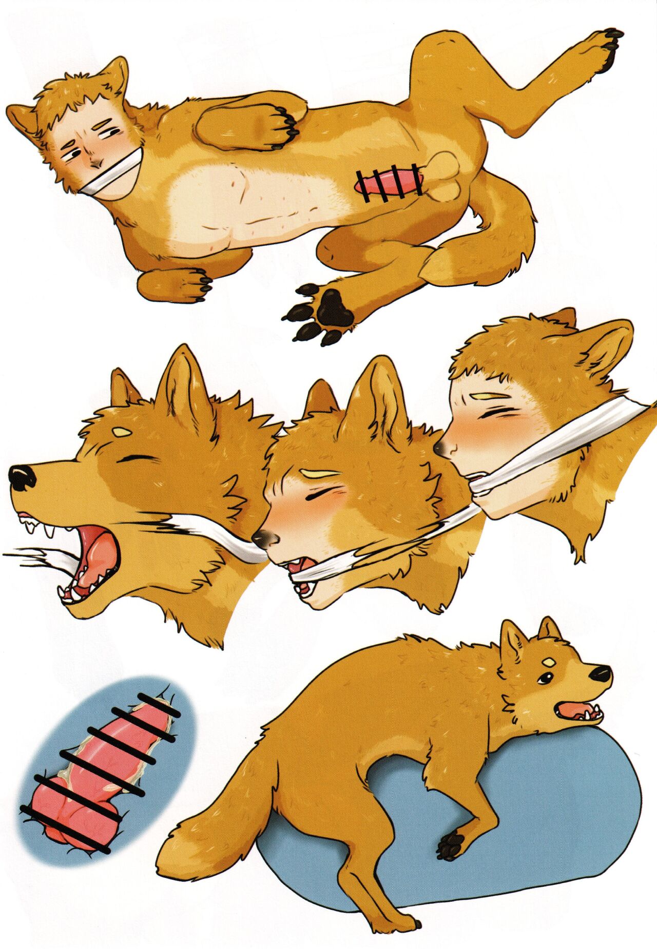 [Kemoket 14] Stray Dogs [gibier] [Multiple Artists] Bildnummer 116