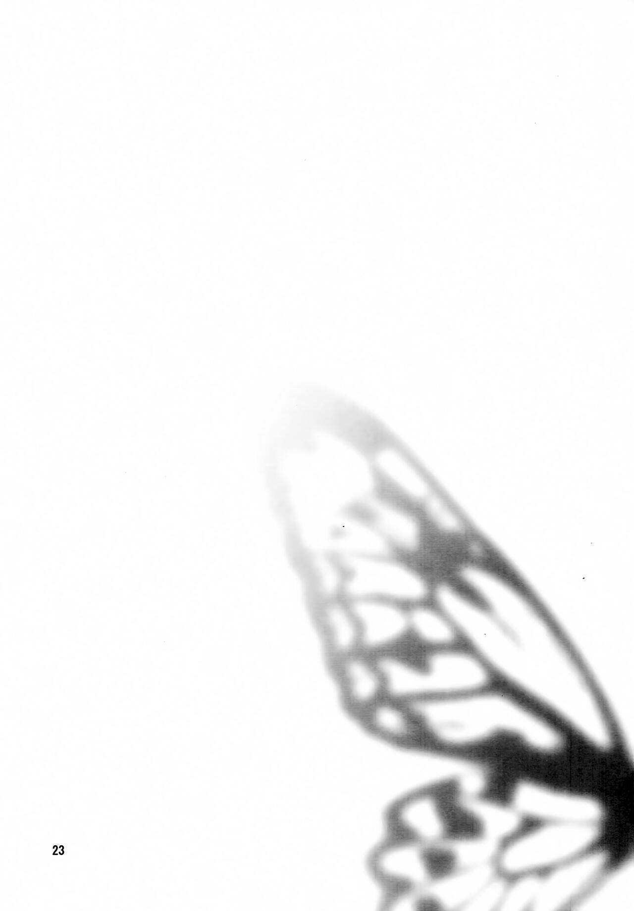 (C77) [Nyagos (Yatengetu)] Anryuu Meiro (CODE GEASS: Lelouch of the Rebellion) 画像番号 22