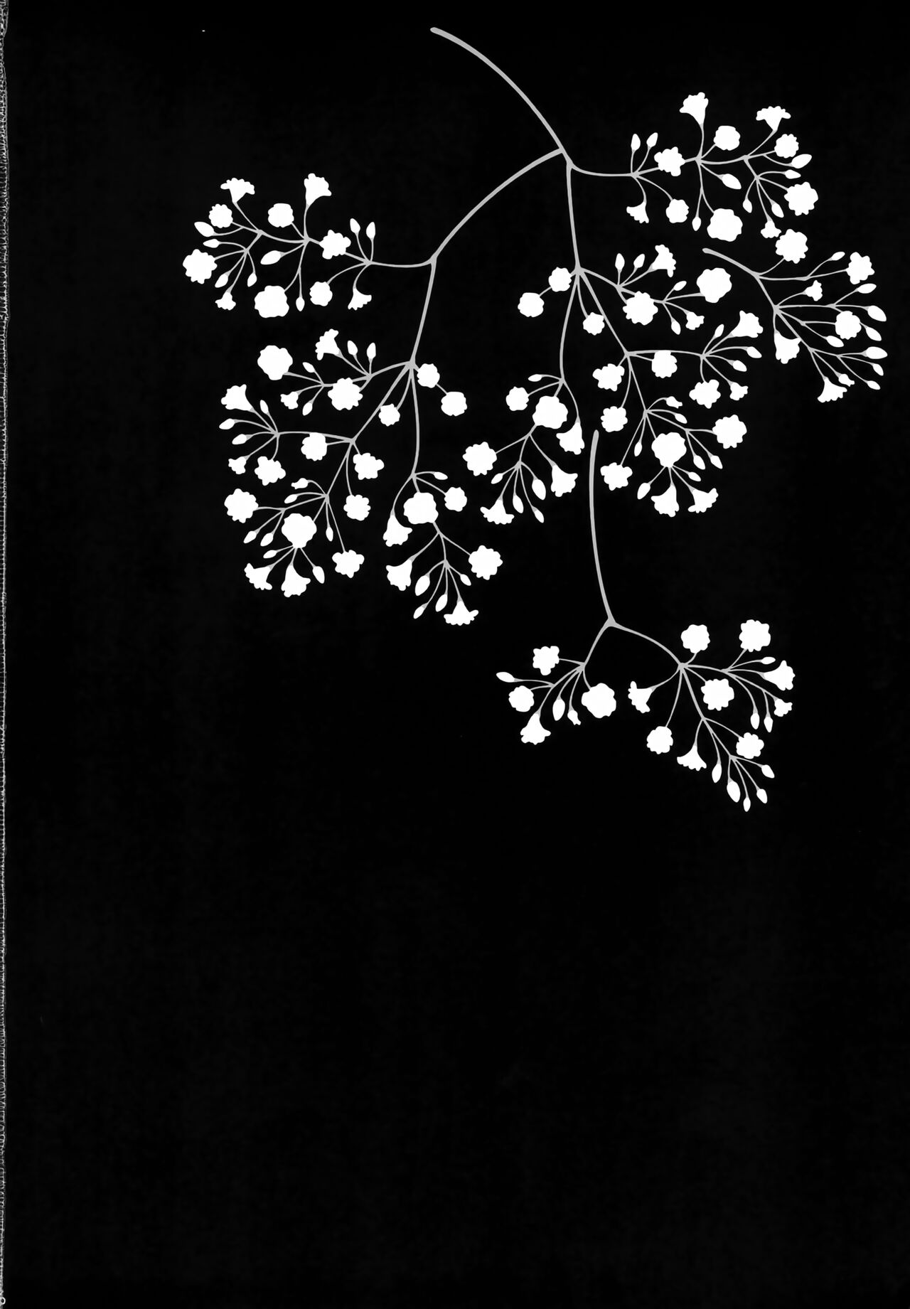 (C78) [Nyagos (Yatengetu)] Fancies Girl (CODE GEASS: Lelouch of the Rebellion) изображение № 25