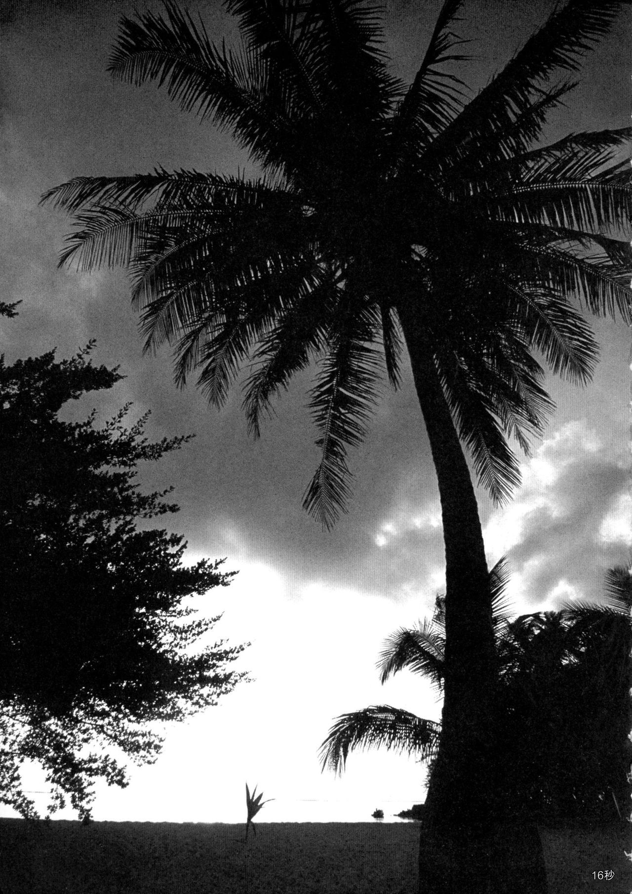 [Combat Ecchu] Chakushou! Haramase Island [中文机翻] 画像番号 167