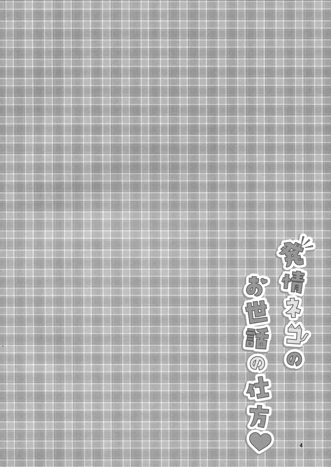 (C101) [Momochiakyou (Momochichia)] Hatsujou Neko no Osewa no Shikata [Chinese] [无毒汉化组] numero di immagine  4