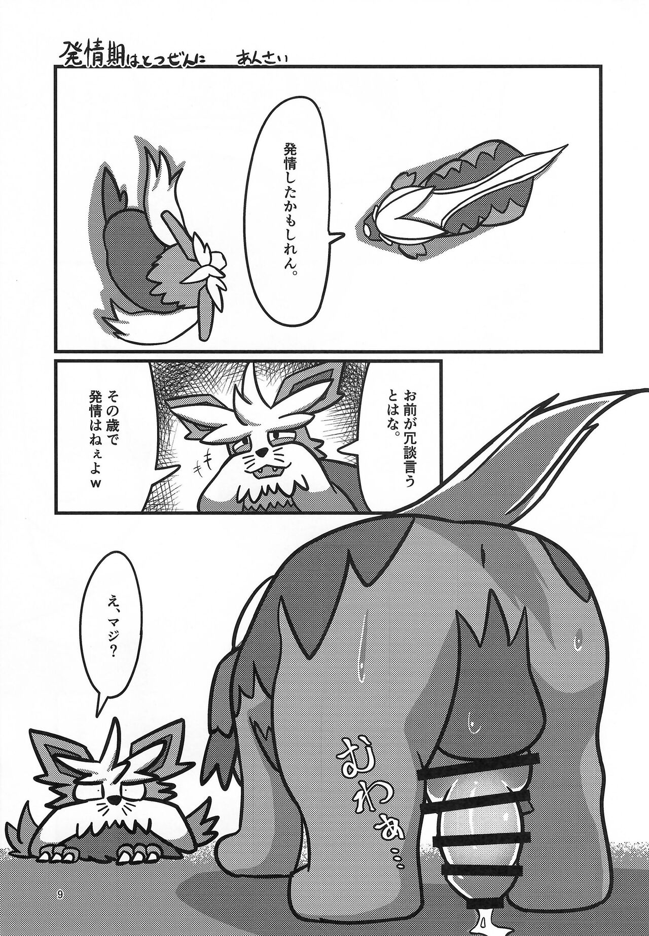 (Kemoket 13) [Wolfonia (various)] K9S 图片编号 9