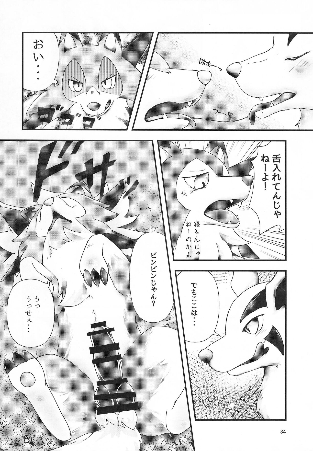 (Kemoket 13) [Wolfonia (various)] K9S 图片编号 34