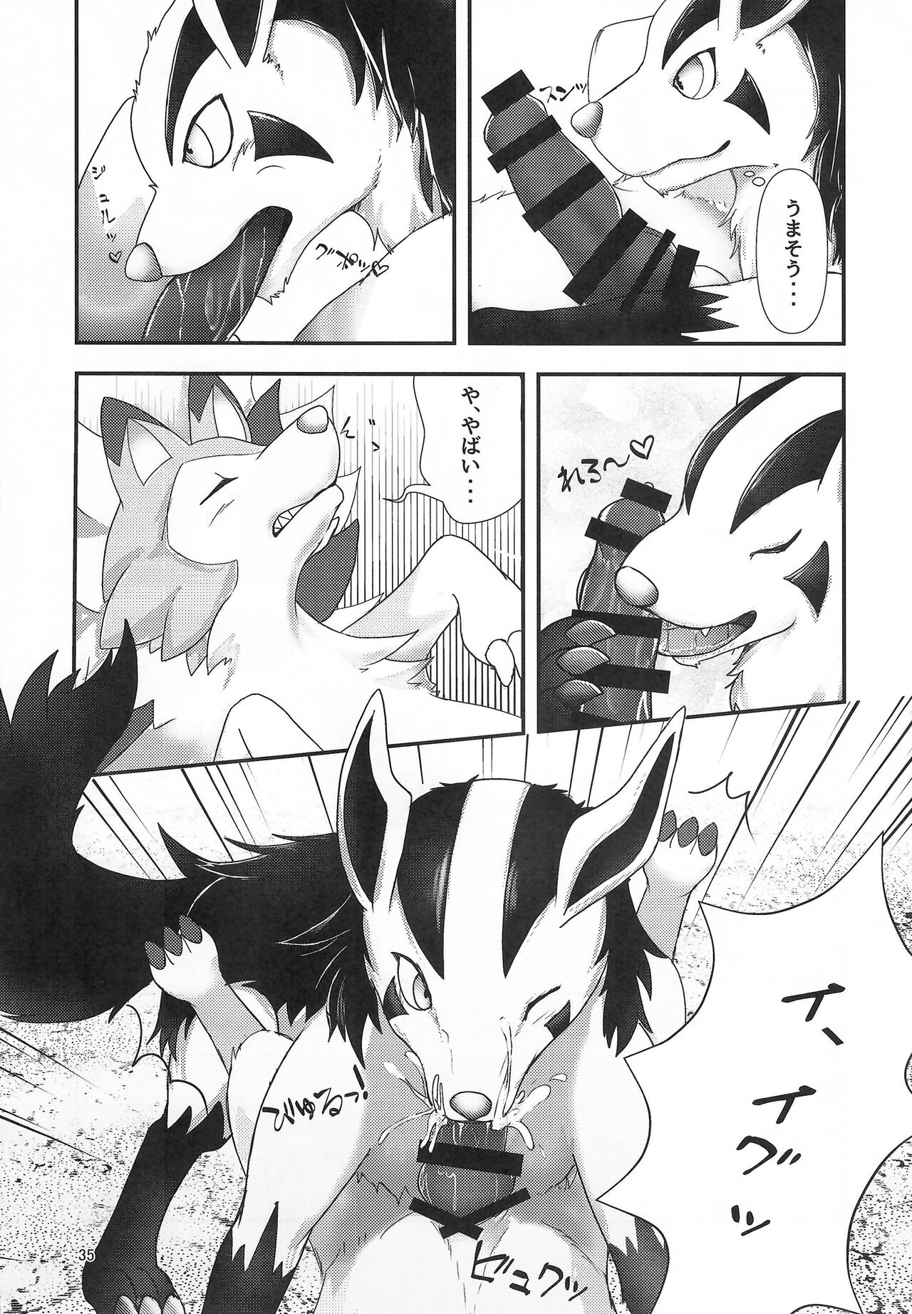 (Kemoket 13) [Wolfonia (various)] K9S 图片编号 35