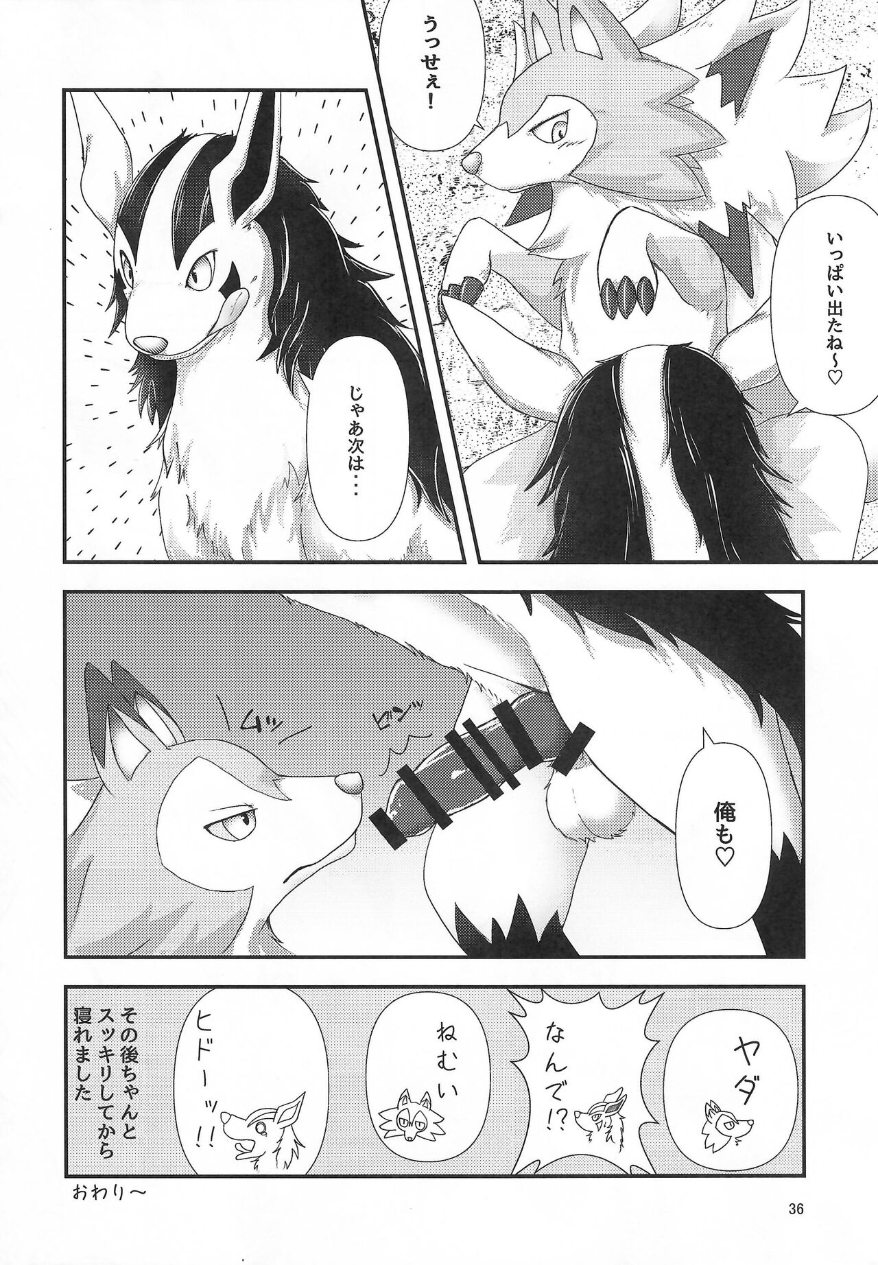 (Kemoket 13) [Wolfonia (various)] K9S 图片编号 36