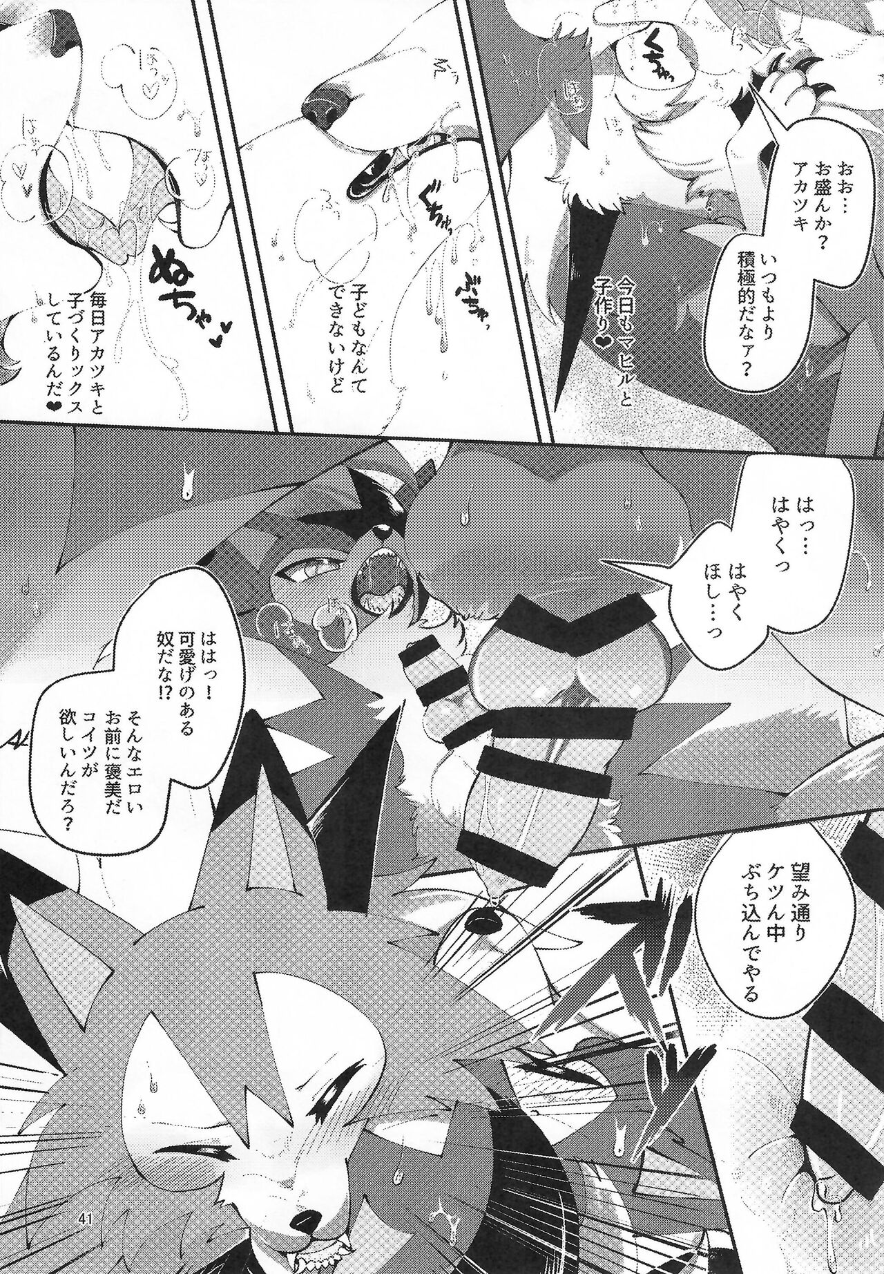 (Kemoket 13) [Wolfonia (various)] K9S 图片编号 41