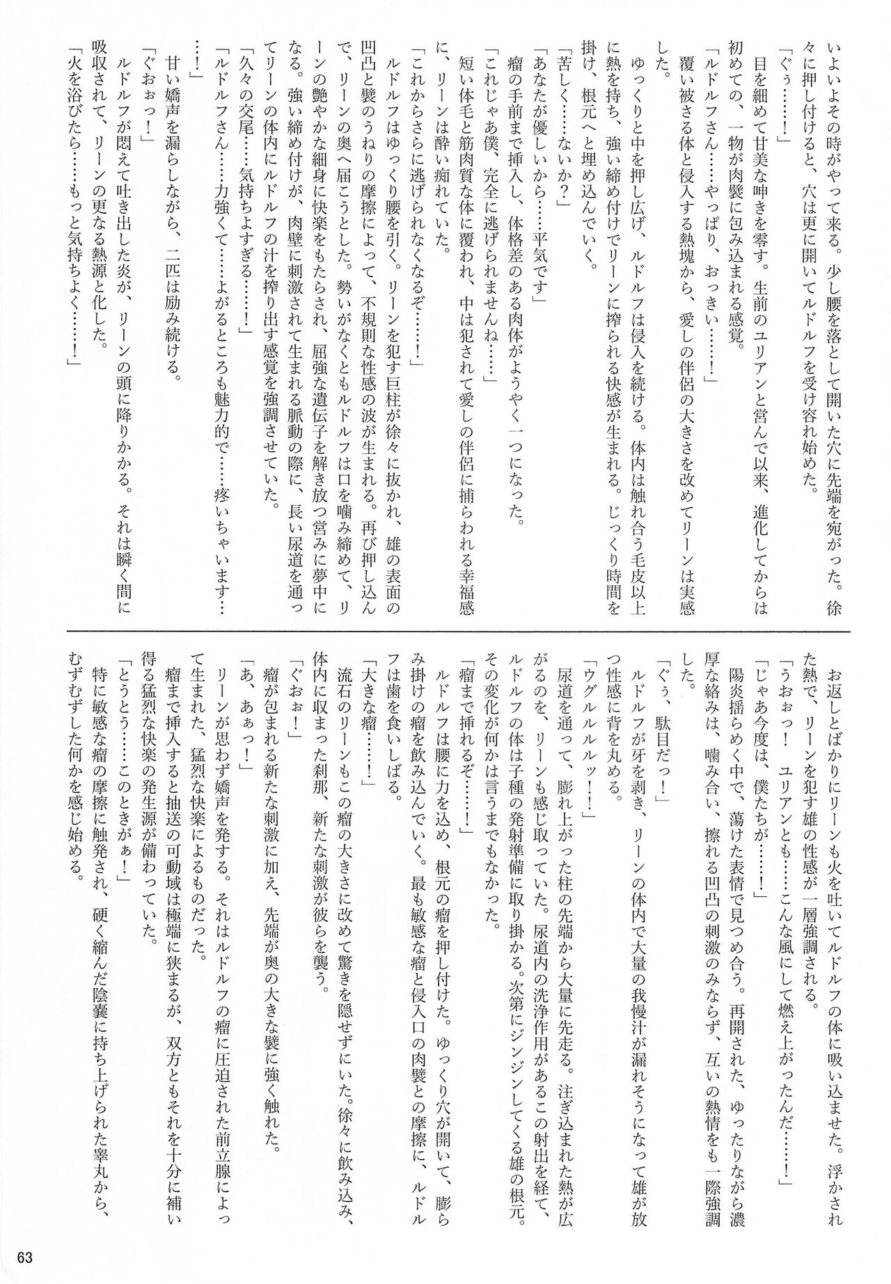 (Kemoket 13) [Wolfonia (various)] K9S 图片编号 63