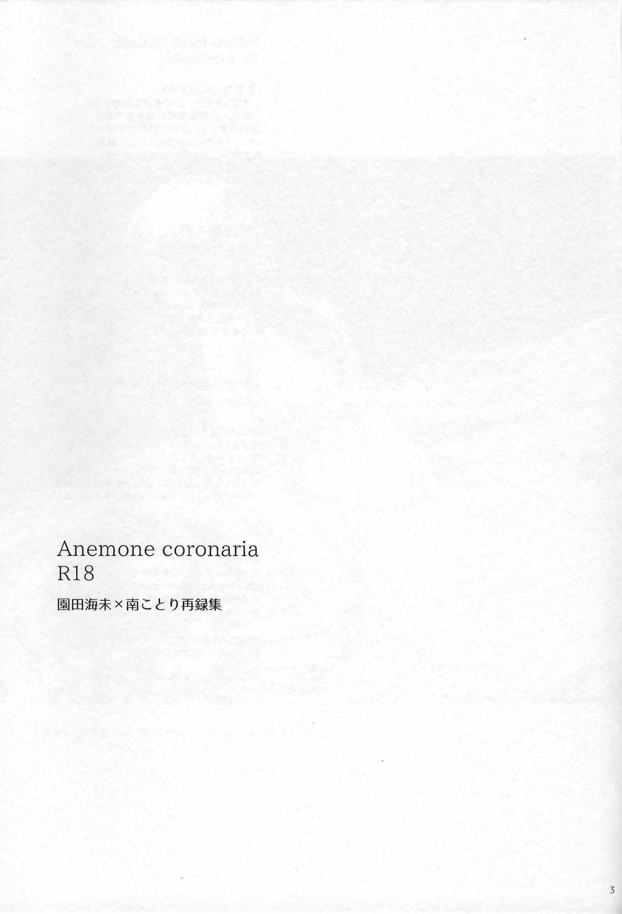 (C97) [solala (Riko)] Anemone coronaria (Love Live!) numero di immagine  2