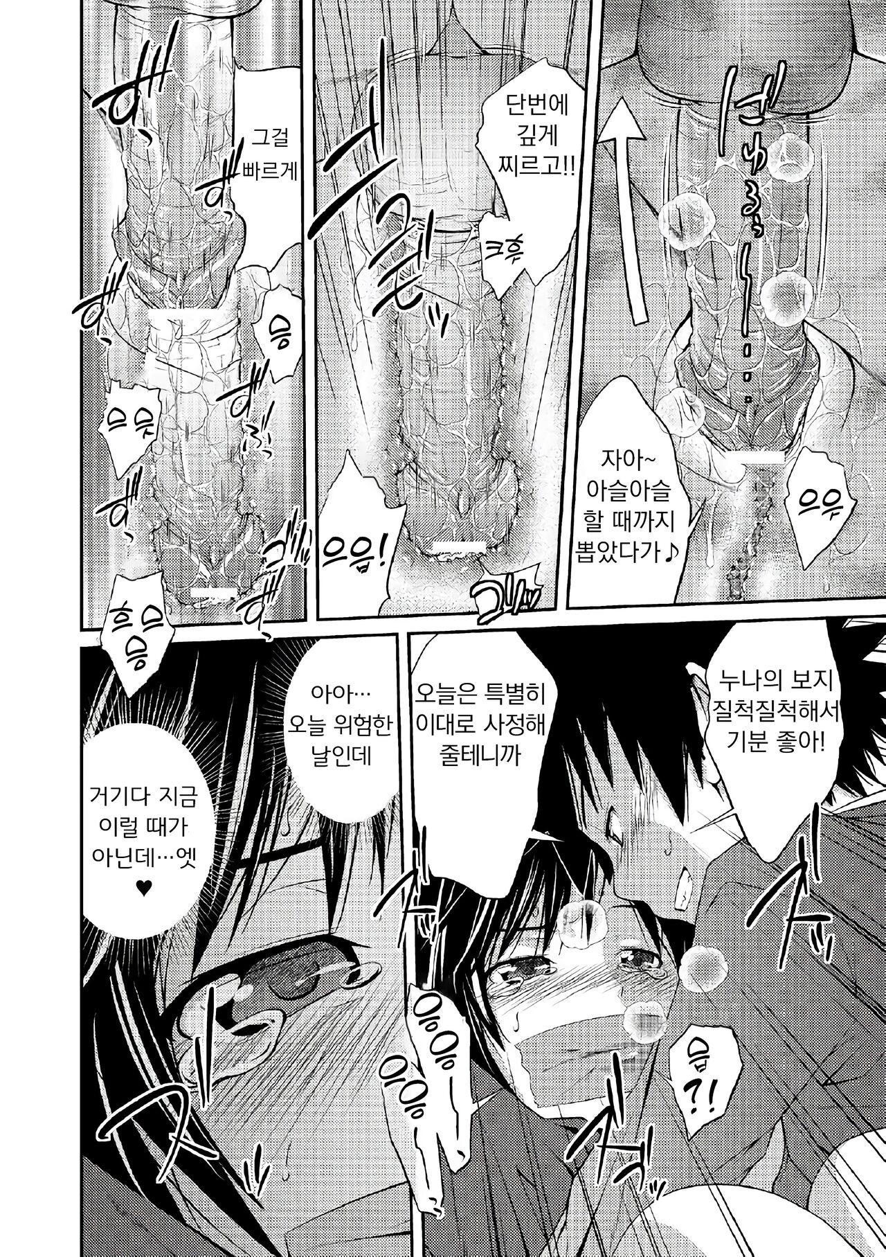 [Tsubaki Jushirou] Katei Houkai Inko | 가정붕괴 음란자식 (Ane Lover) [Korean] [Digital] 31eme image