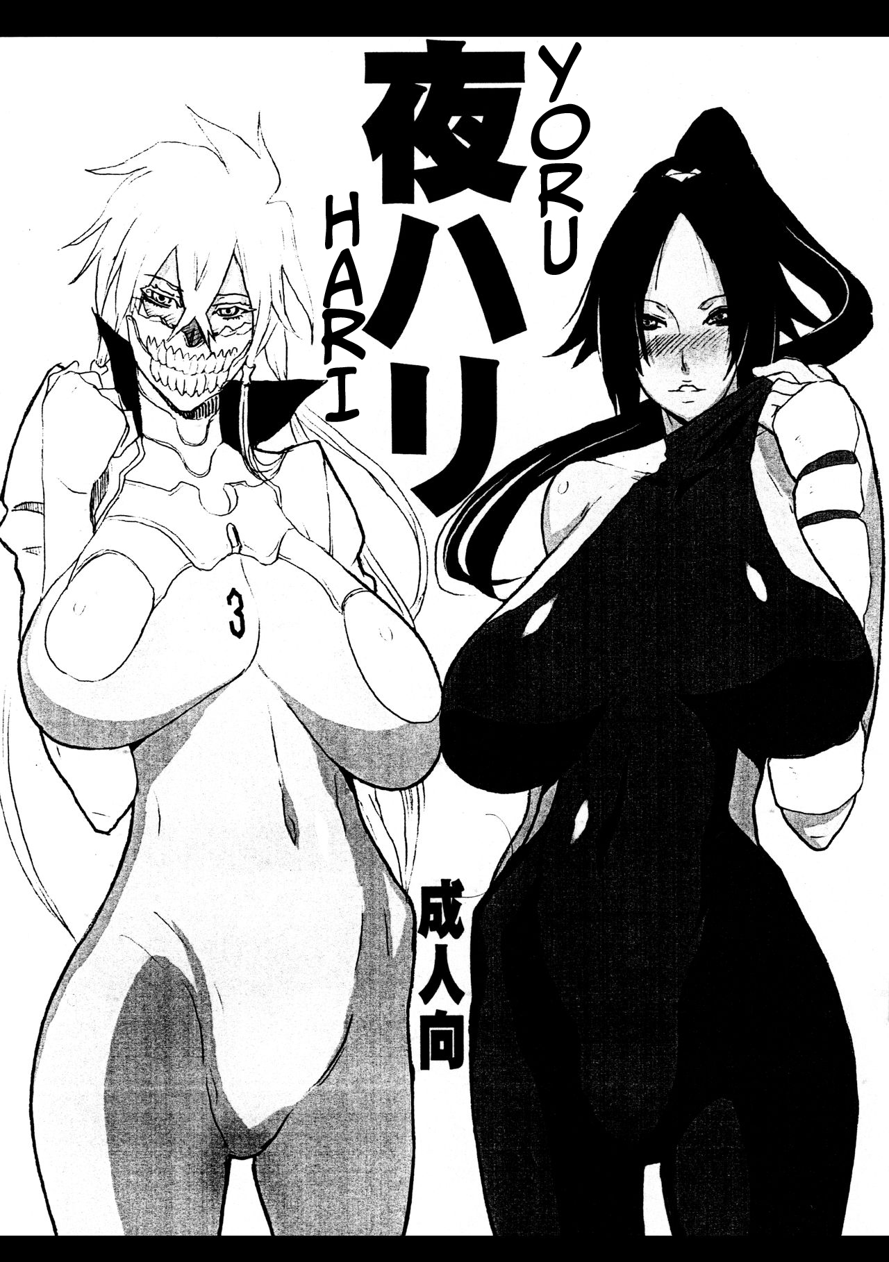 (C75) [VARIABLE? (Yukiguni Eringi)] Yoru Hari (BLEACH) [French] [L'Aile-ou-la-Cuisse-Trad] Bildnummer 1