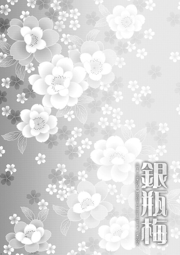 (C86) [H.A.O (Tom)] Yin Ping Mei・○pei no Seisaiyodatsu (Shin Sangoku Musou) numero di immagine  2