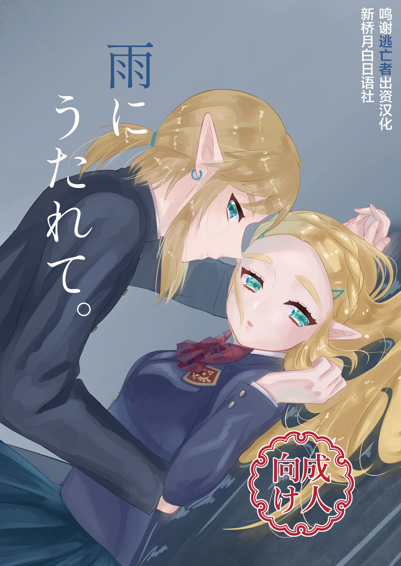 [sushi-go-round (Ikura Gunkan)] Ame ni Utarete. (The Legend of Zelda) [Chinese] [逃亡者x新桥月白日语社汉化] [Digital] première image